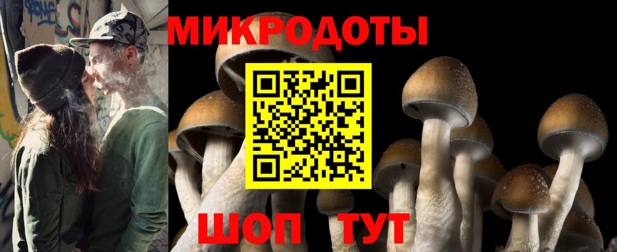 Галлюциногенные грибы Cubensis  Вход с VPN  Псилоцибиновые грибы мухоморы  Солнечногорск 